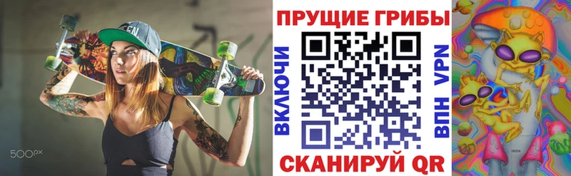 hydra вход  купить   Кузнецк  Псилоцибиновые грибы MAGIC MUSHROOMS 